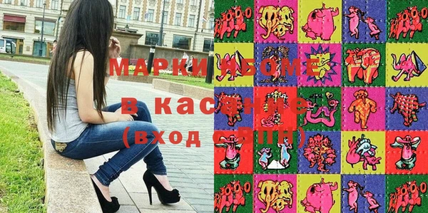 стафф Арсеньев