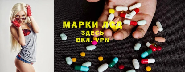 прущий лед Алзамай