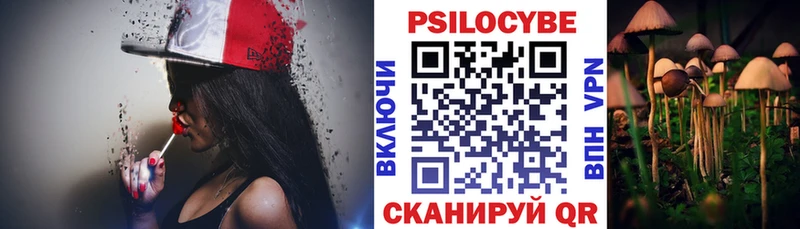 Купить где  Железноводск  Галлюциногенные грибы прущие грибы 
